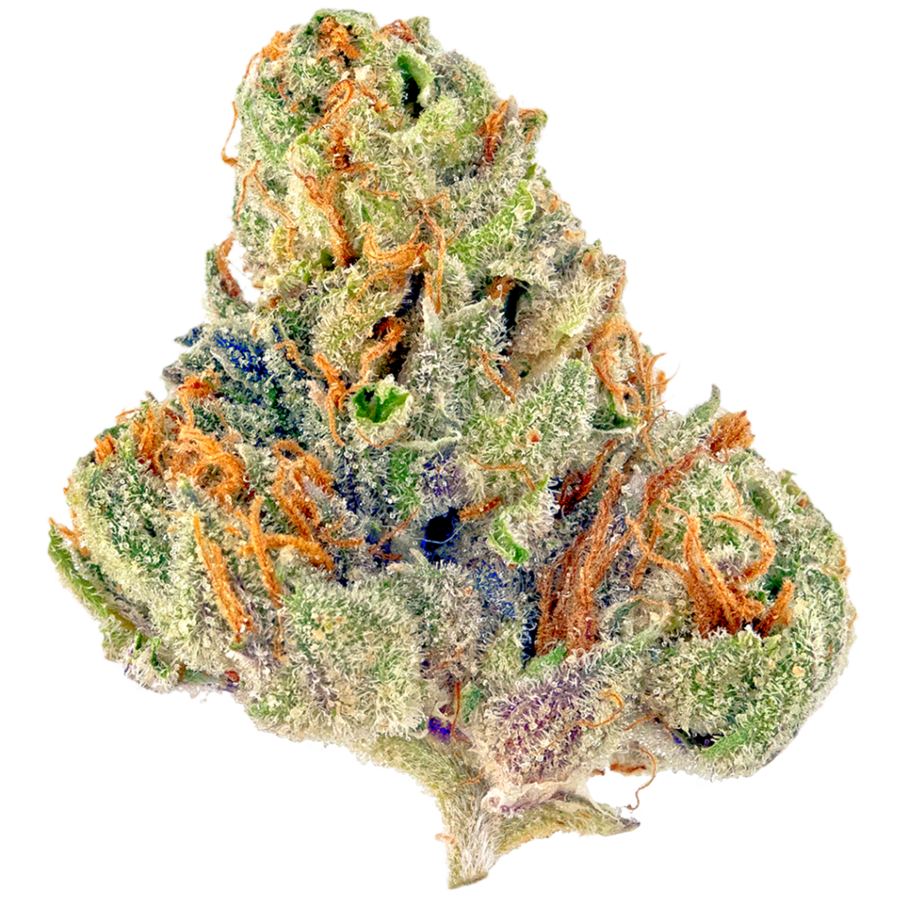 Harlequin: The Strain That Delivers a Warm, Glowy Feeling
