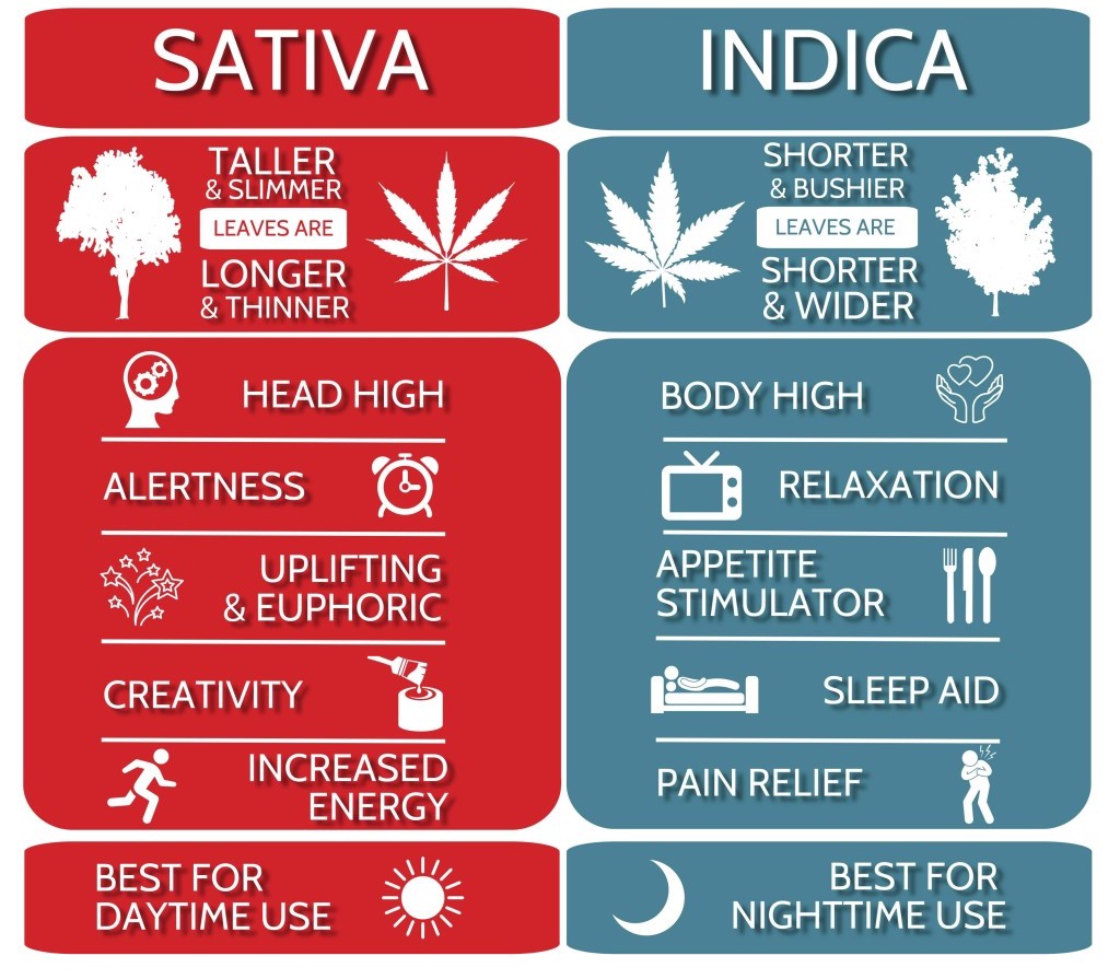 indica vs sativa differences comparison chart