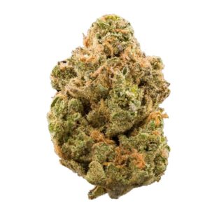 Buy Premium Cannabis Weed strains in Abu Dhabi