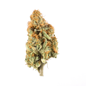 Mexican Sativa weed Strain