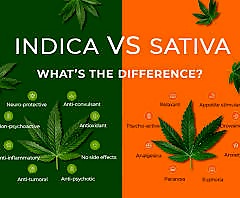 indica vs sativa differences comparison chart