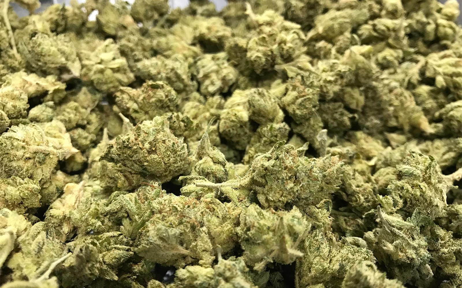 Buy top quality weed in Abu Dhabi | Delivery in minutes