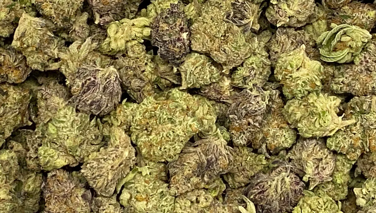 Buy weed in Ajman UAE | Fast delivery