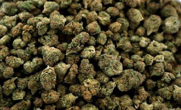 Where can I find weed in Jeddah Saudi Arabia | fast delivery