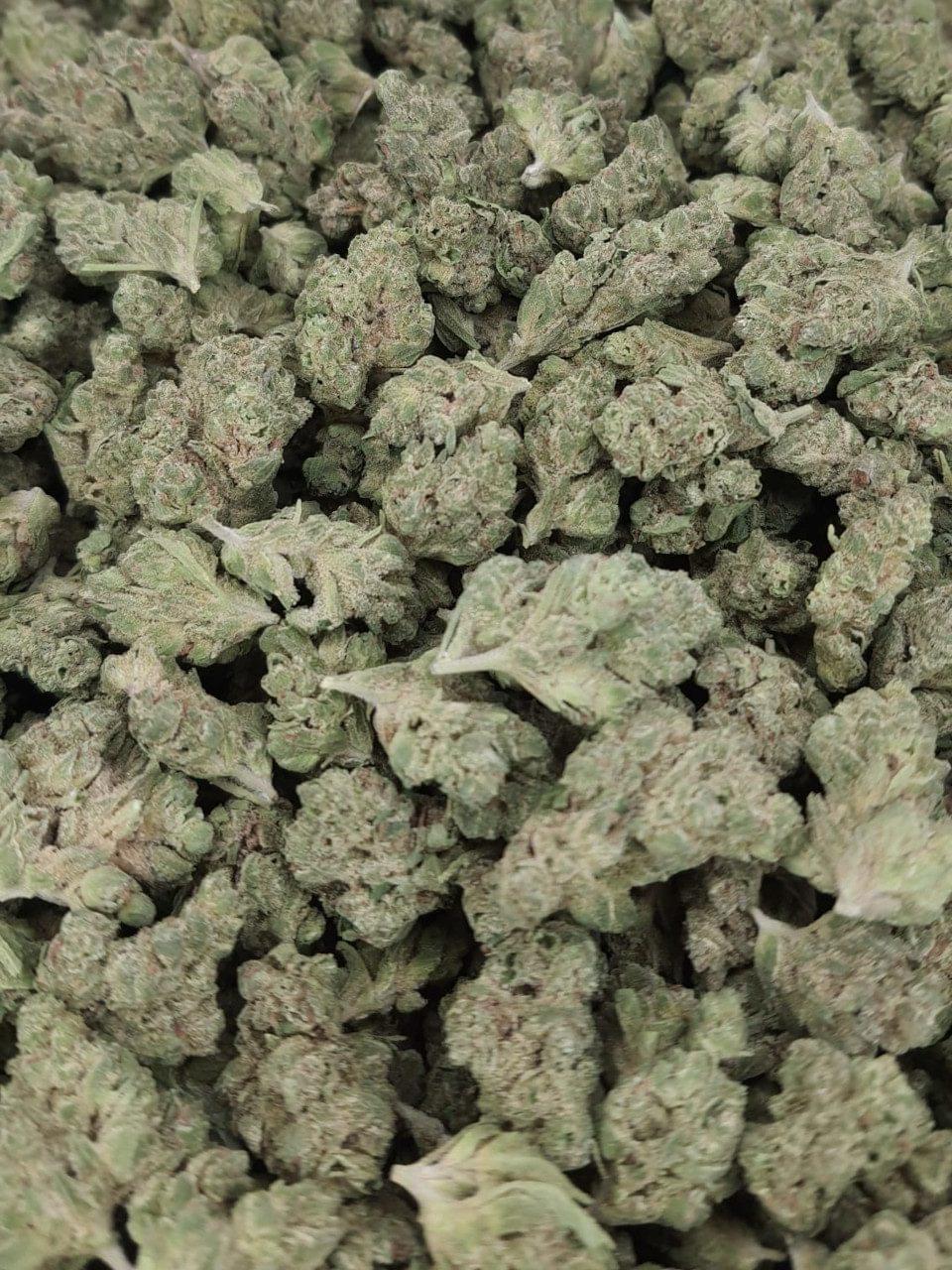 Where can i buy weed in Bahrain | safe delivery