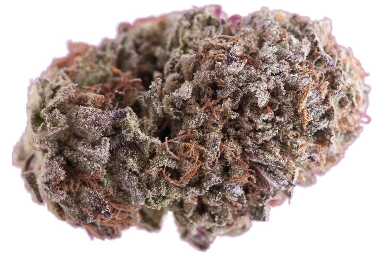Buy Purple Kush weed strain in Jeddah Saudi Arabia